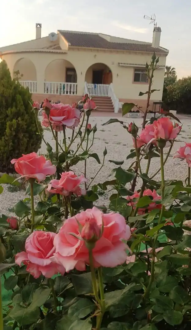 Casa o xalet en venda a Arroba de Hornos, 172, Dolores Jardí de Casa o xalet en venda en Dolores amb Aire condicionat i Terrassa