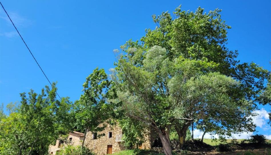 Foto 1 de Casa o xalet de lloguer a Carrer Diseminado Despoblado, 1, Llanars, Girona
