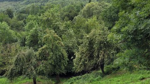 Foto 4 de Casa o xalet de lloguer a Carrer Diseminado Despoblado, 1, Llanars, Girona