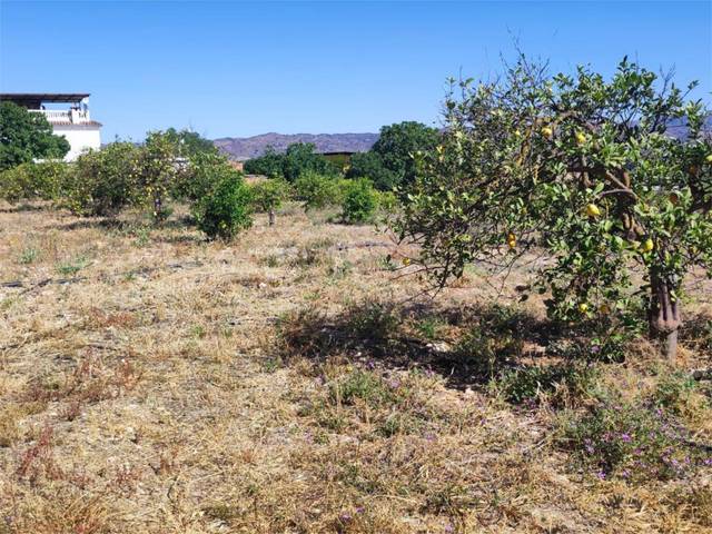 Terreno en Venta en Diseminado Poligono 13, 159 - en Doña Ana
