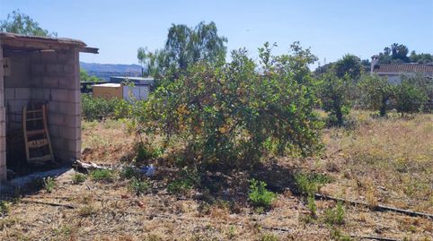 Foto 3 de Terreno en venta en Diseminado Poligono 13, 159 -, Doña Ana, Cártama