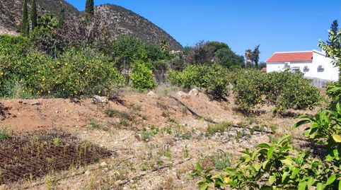 Foto 5 de Terreno en venta en Diseminado Poligono 13, 159 -, Doña Ana, Cártama