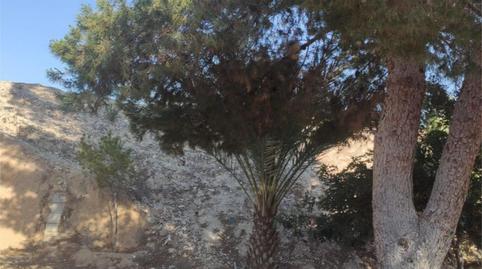 Land for sale in Cv-872, 3, La Murada - Los Vicentes, Alicante - image 3 Photo 3 of Land for sale in Cv-872, 3, La Murada - Los Vicentes, Alicante