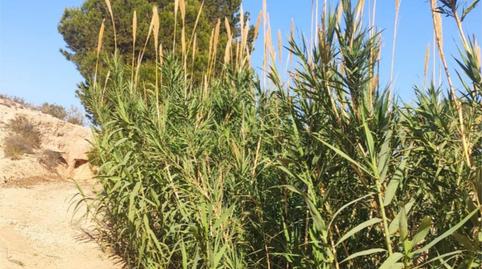 Land for sale in Cv-872, 3, La Murada - Los Vicentes, Alicante - image 4 Photo 4 of Land for sale in Cv-872, 3, La Murada - Los Vicentes, Alicante