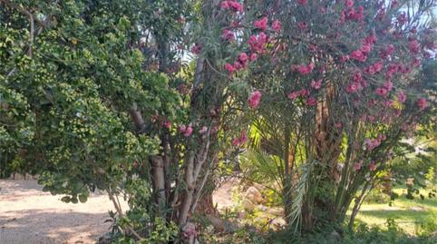 Foto 2 de Pis de lloguer a Vial Camino, 9, La Guardia de Jaén, Jaén