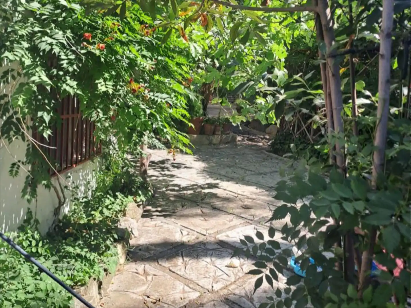 Jardín de Piso de alquiler en La Guardia de Jaén con Jardín privado y Piscina