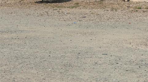 Finca rústica en venta en Calle Pablo Sorozábal, 6p, Fuensalida, Toledo - imagen 3 Foto 3 de Finca rústica en venta en Calle Pablo Sorozábal, 6p, Fuensalida, Toledo