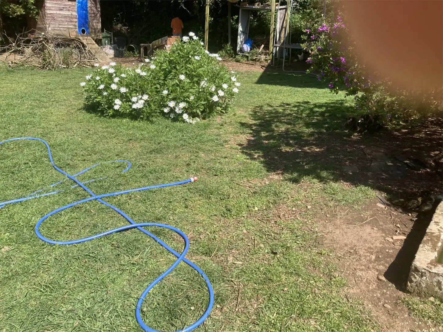 Jardín de Casa o chalet en venta en Arteixo con Terraza y Balcón