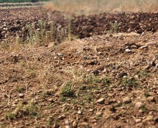 Finca rústica en venda en Puertollano