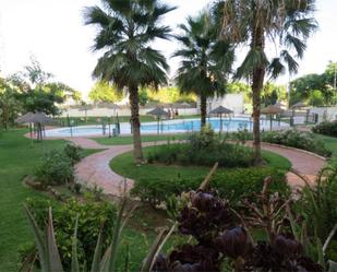 Swimming pool of Flat for sale in Málaga Capital  with Terrace, Swimming Pool and Balcony