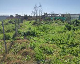 Finca rústica en venda en La Algaba