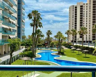 Piscina de Apartament de lloguer en Alicante / Alacant amb Terrassa i Piscina
