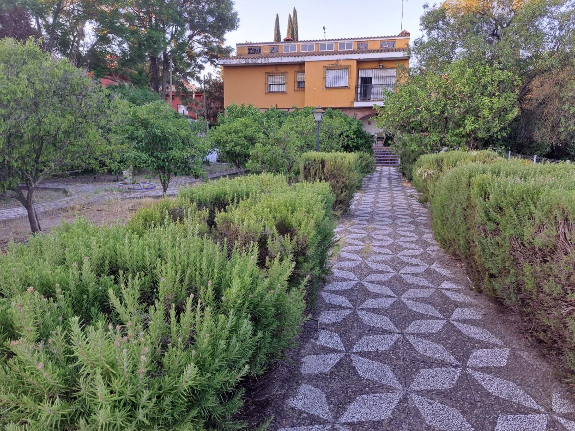 Jardí de Casa o xalet en venda en Camas amb Aire condicionat, Terrassa i Piscina
