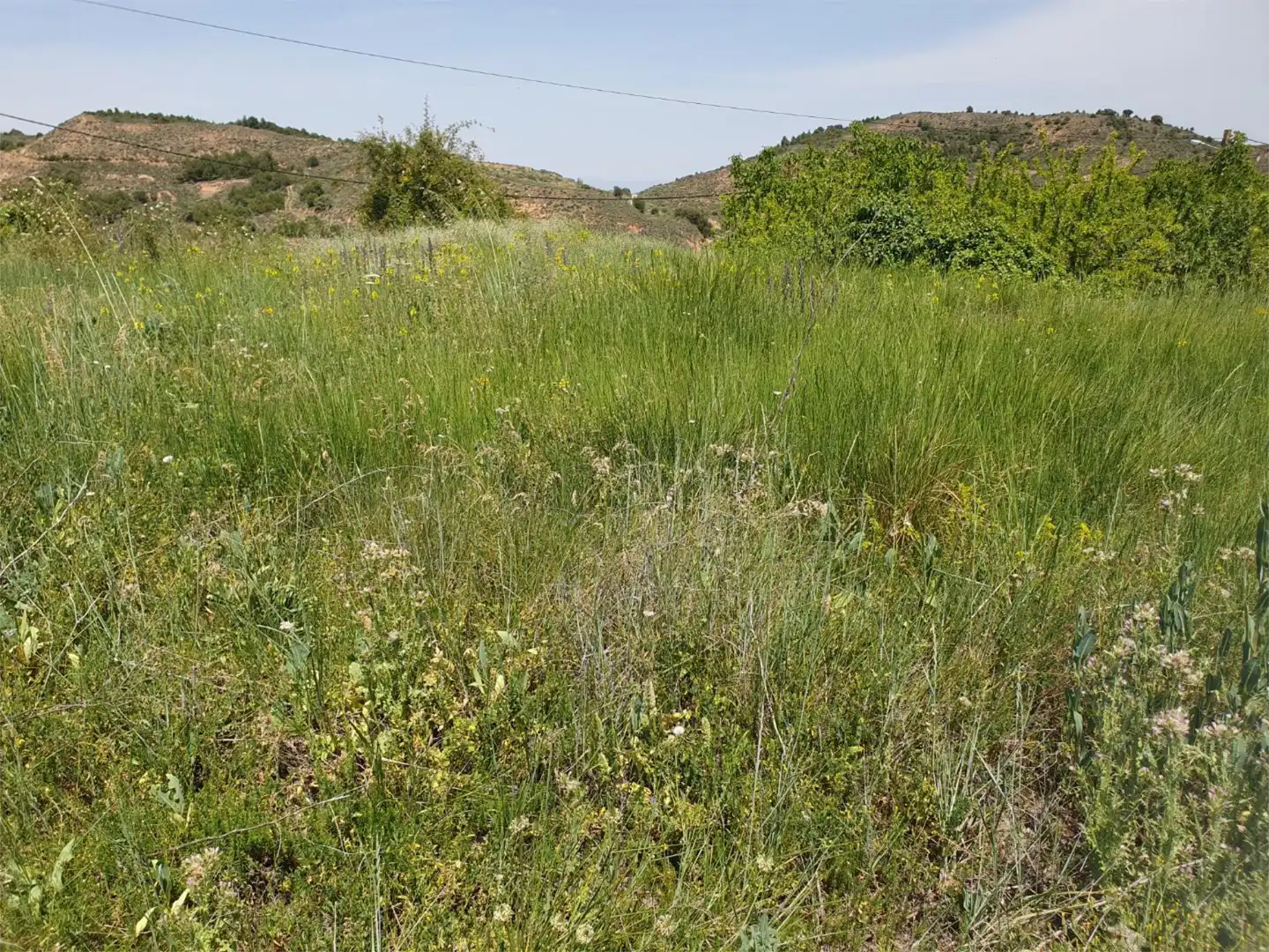 Land for sale in Ocón