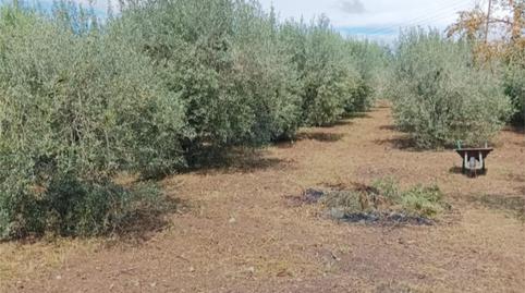 Foto 2 de Pis en venda a Paseo Cementiri, del, 5064, Mestral, Tarragona