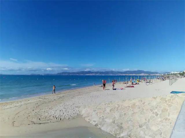 Oficina en Alquiler en Carrer del Veler, 3 en Can Pastilla