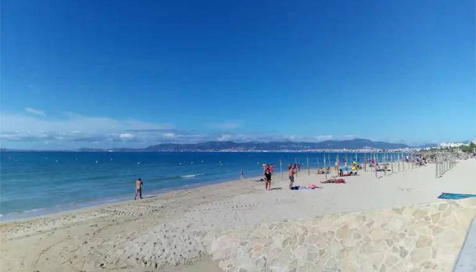 Photo 1 of Office to rent in Carrer del Veler, 3, Can Pastilla, Illes Balears