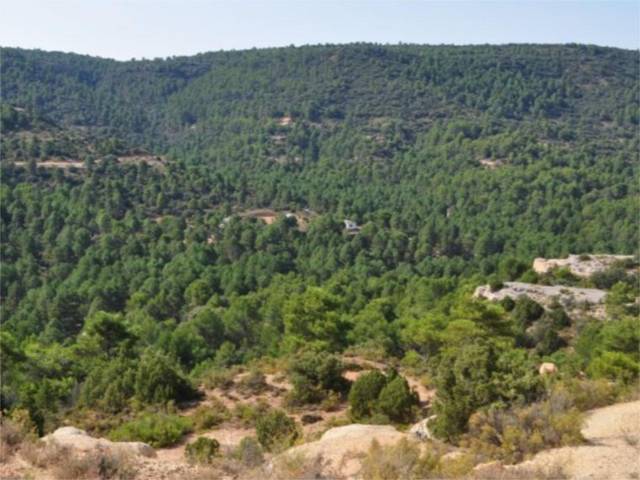 Terreno en Venta en Calle Begonia, 357 en Trillo