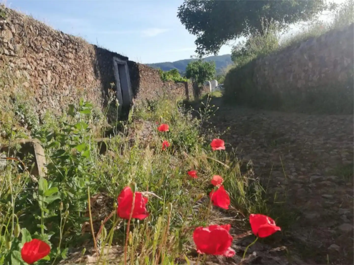 Finca rústica en venta en Avenida Andalucia, 12, Cañaveral de León Jardín de Finca rústica en venta en Cañaveral de León con Jardín privado, Terraza y Piscina