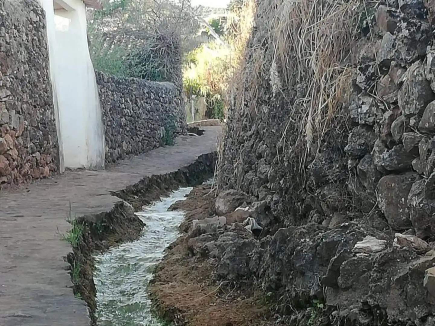 Finca rústica en venta en Avenida Andalucia, 12, Cañaveral de León Vista exterior de Finca rústica en venta en Cañaveral de León con Jardín privado, Terraza y Piscina