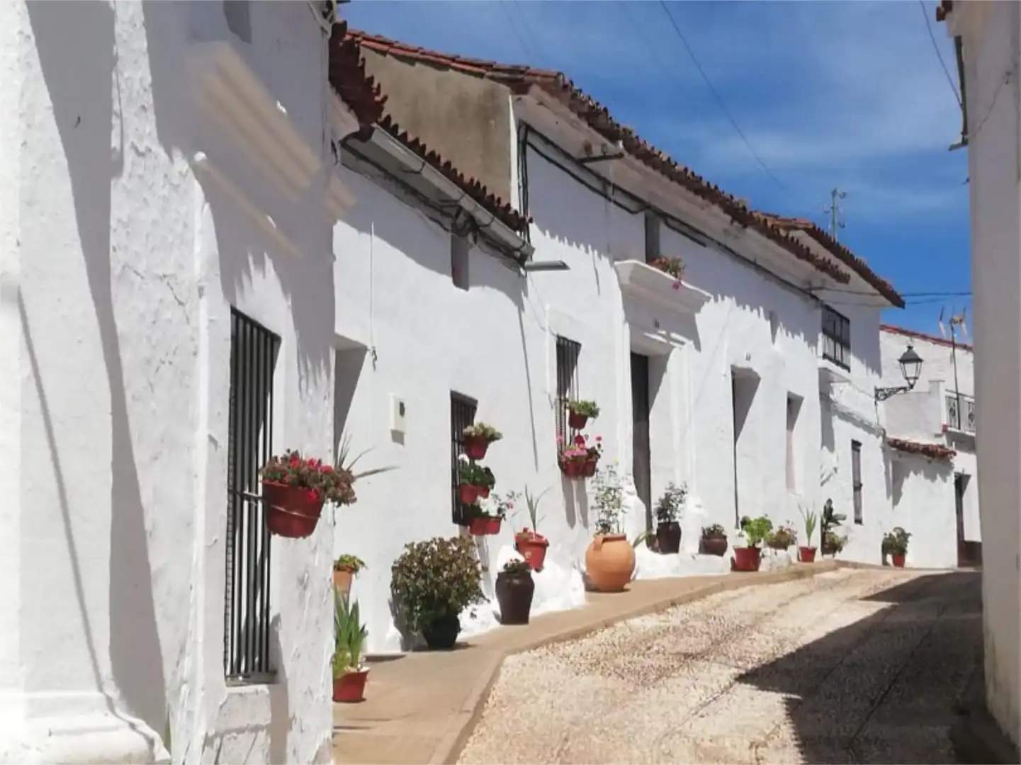 Finca rústica en venta en Avenida Andalucia, 12, Cañaveral de León Vista exterior de Finca rústica en venta en Cañaveral de León con Jardín privado, Terraza y Piscina