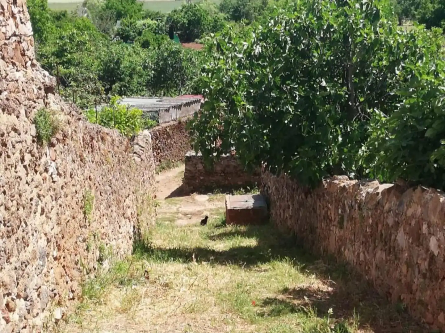 Finca rústica en venta en Avenida Andalucia, 12, Cañaveral de León Jardín de Finca rústica en venta en Cañaveral de León con Jardín privado, Terraza y Piscina
