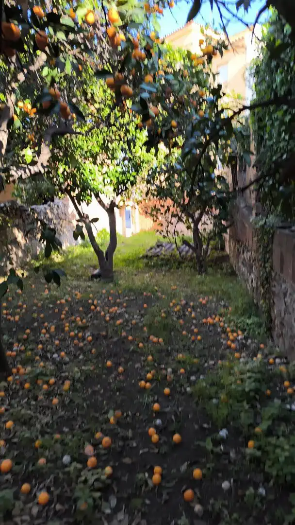 Grundstücke zum Verkauf in Carrer Vall d'Aran, 20, Centre Garten von Grundstücke zum Verkauf in Pineda de Mar