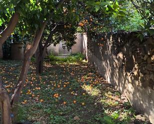 Jardí de Terreny en venda en Pineda de Mar