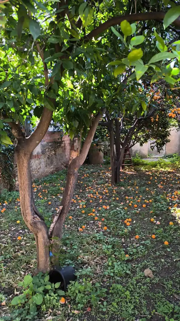 Grundstücke zum Verkauf in Carrer Vall d'Aran, 20, Centre Garten von Grundstücke zum Verkauf in Pineda de Mar