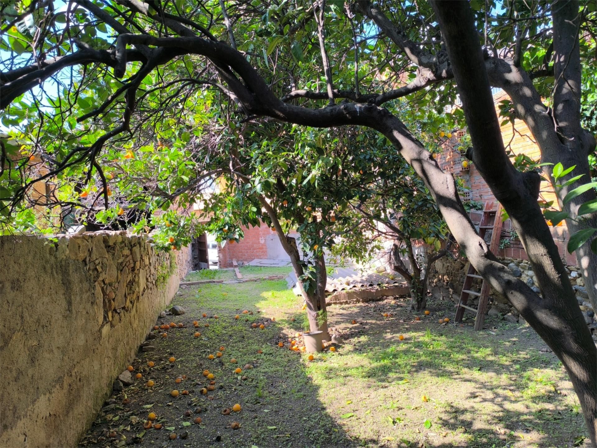 Garden of Land for sale in Pineda de Mar