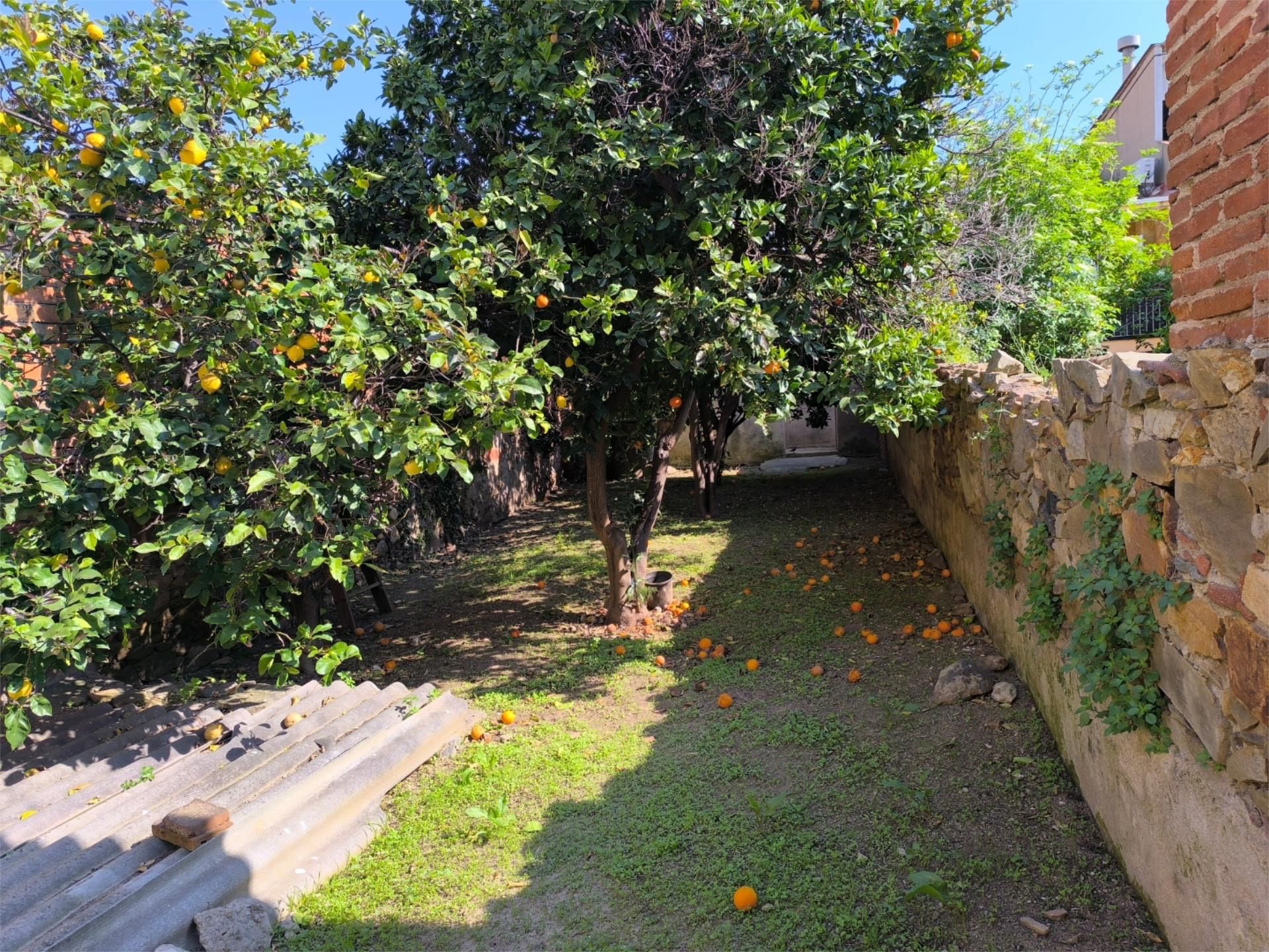 Garden of Land for sale in Pineda de Mar