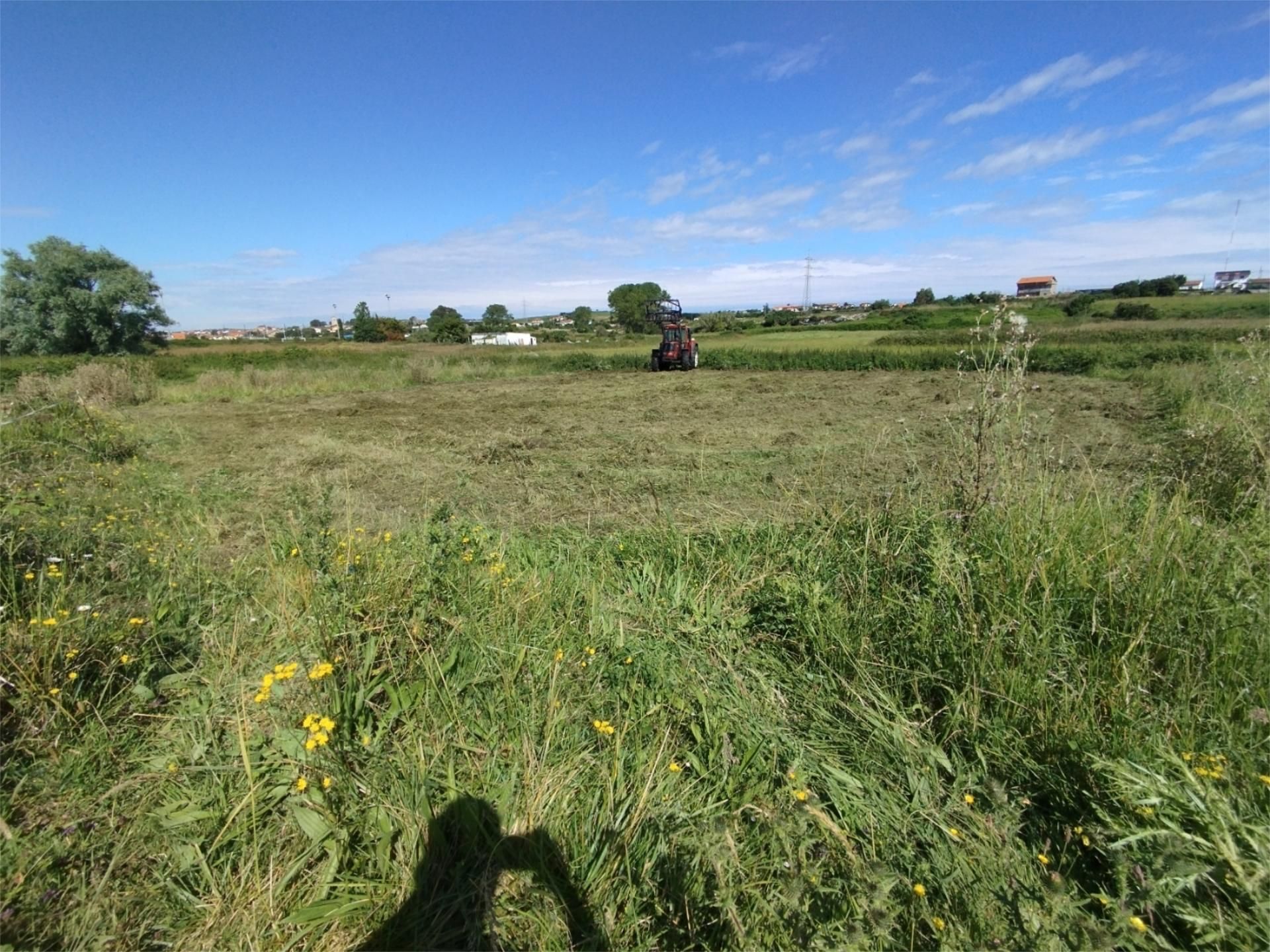 Non-constructible Land for sale in Santander