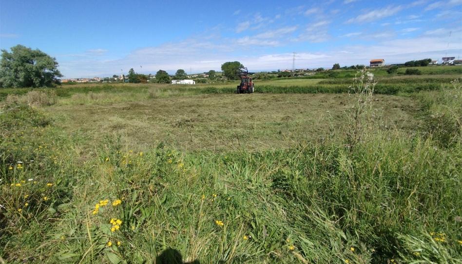 No Urbanitzable en venda a Calle Los Foramontanos, 120, Alisal - San Román, Cantabria - imatge 1 Foto 1 de No Urbanitzable en venda a Calle Los Foramontanos, 120, Alisal - San Román, Cantabria