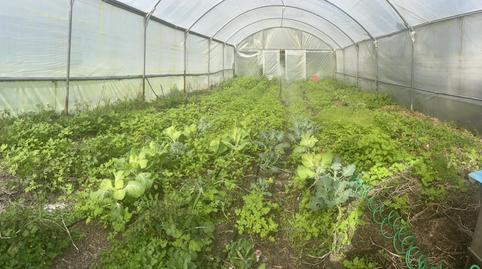 Photo 5 of Country house for sale in Moaña, Pontevedra