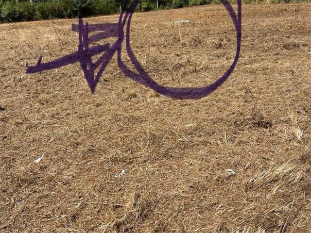 Finca rústica en Venta en Avenida Santiago, 50 en O Pino