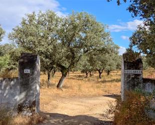 Vista exterior de Terreny en venda en Santa Olalla del Cala