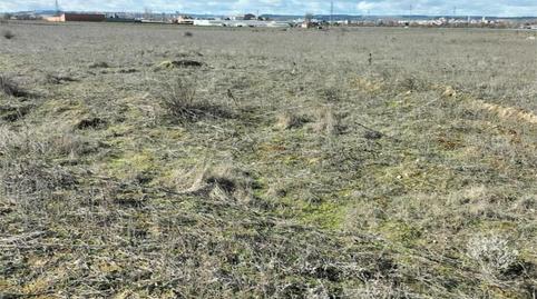 Terreno en venta en Camino Antiguo de Sevilla a Carmona, 6, Torreblanca, Sevilla - imagen 4 Foto 4 de Terreno en venta en Camino Antiguo de Sevilla a Carmona, 6, Torreblanca, Sevilla