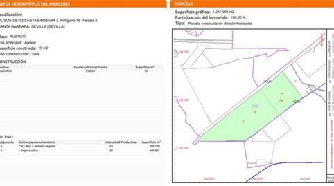 Terreno en venta en Camino Antiguo de Sevilla a Carmona, 6, Torreblanca, Sevilla - imagen 3 Foto 3 de Terreno en venta en Camino Antiguo de Sevilla a Carmona, 6, Torreblanca, Sevilla