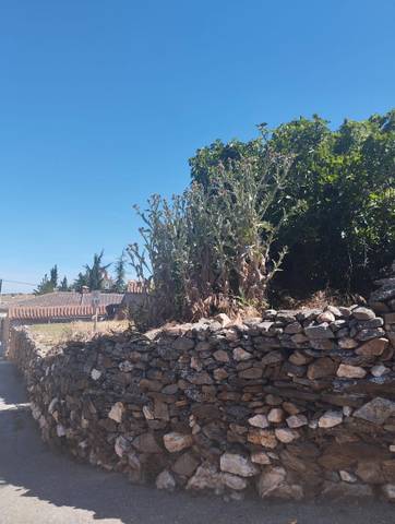 Terreno urbanizable en Venta en Calle Iglesia, 10 en Horcajo Medianero