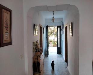 House or chalet to rent in Vélez de Benaudalla