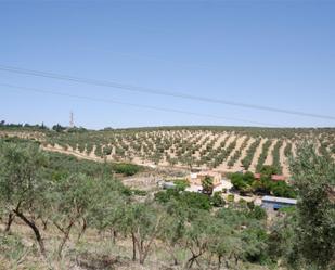 Jardí de Terreny en venda en Valencina de la Concepción