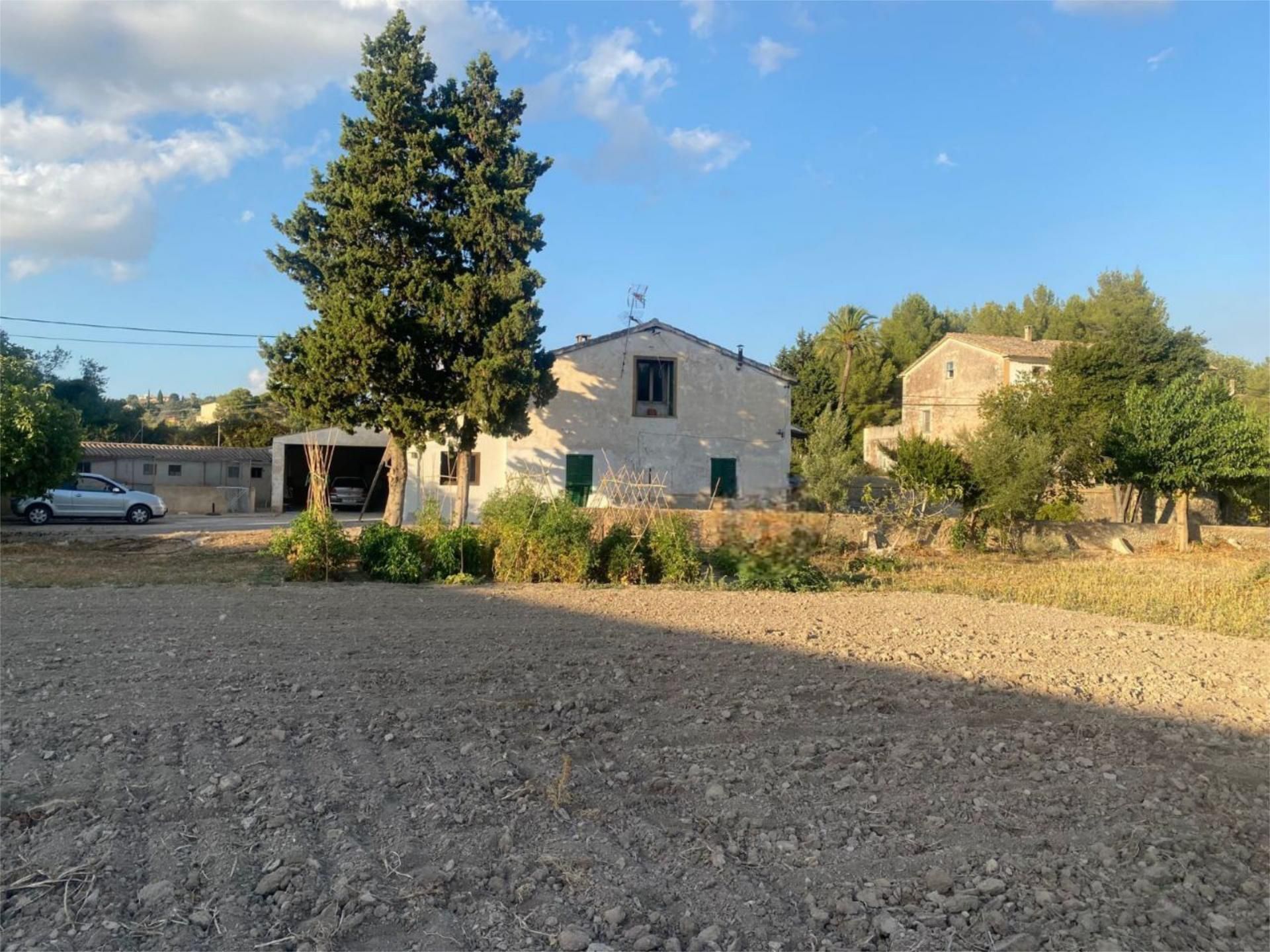 Vista exterior de Finca rústica en venda en  Palma de Mallorca amb Terrassa i Piscina