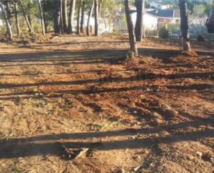 Constructible Land for sale in Querol