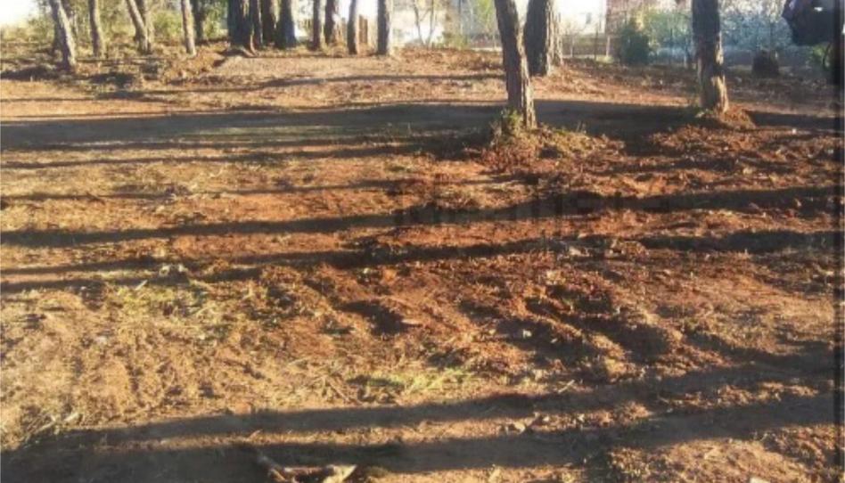 Constructible Land for sale in Avinguda General de Querol, 869, Querol, Tarragona - image 1 Photo 1 of Constructible Land for sale in Avinguda General de Querol, 869, Querol, Tarragona