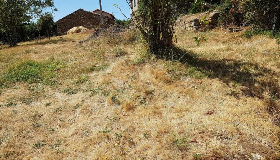 Photo 1 of Planta baja for sale in Aldea Monteveloso, 4, Castrelo do Val, Ourense