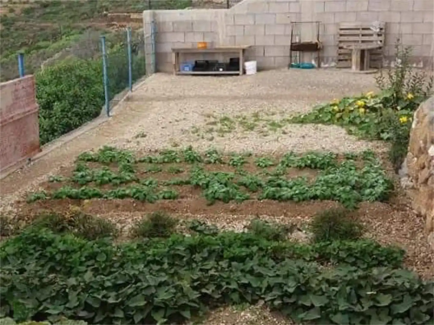 Casa o chalet en venta en Carretera Güimar-arafo, 46, Arafo Jardín de Casa o chalet en venta en Arafo con Aire acondicionado, Terraza y Balcón