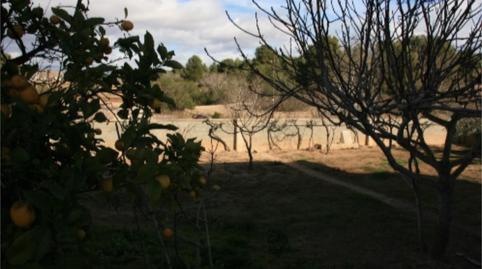 House or chalet for sale in Carretera Santes Creus, 13, Els Pallaresos, Tarragona - image 4 Photo 4 of House or chalet for sale in Carretera Santes Creus, 13, Els Pallaresos, Tarragona