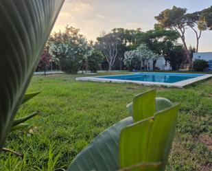 Jardí de Pis de lloguer en Chiclana de la Frontera amb Piscina