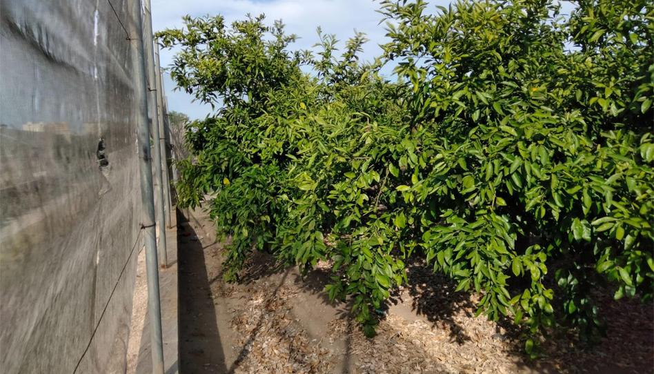 Terreno en venta en Plaça Numero 07, 219a, Mareny Blau, Valencia - imagen 1 Foto 1 de Terreno en venta en Plaça Numero 07, 219a, Mareny Blau, Valencia