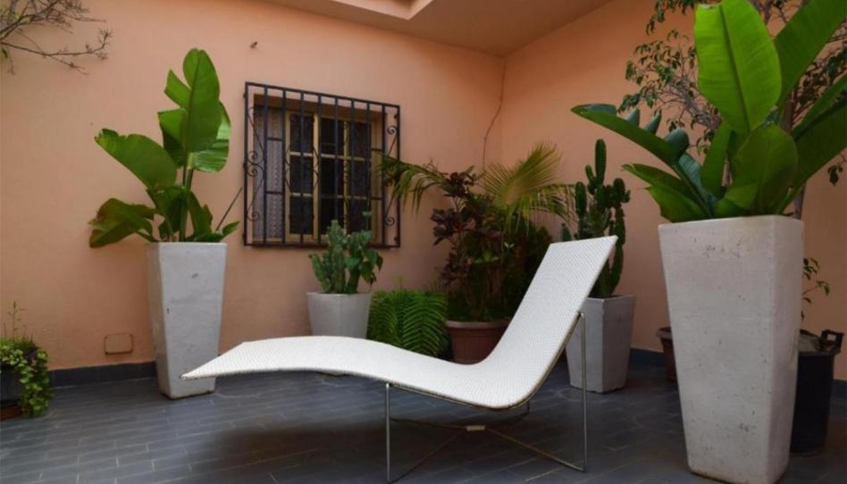 Photo 1 of Apartment to rent in Diseminado P 8 San Carlos, 62, Sant Carles, Illes Balears